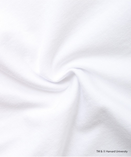 HARVARD（ハーバード）の「HARVARD OPEN END RUGGED T-SHIRT（Tシャツ/カットソー・メンズ・ホワイト・M/XL/L）」の14枚目の写真