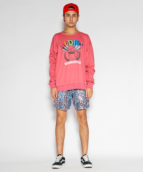 ALDIES（アールディーズ）の「Wonderful Beer Cut / ワンダフルビアーカット（Tシャツ/カットソー・メンズ・マルチ/グレー/レッド・FREE）」の15枚目の写真