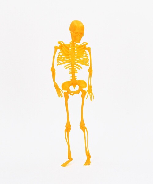 FREAK'S STORE（フリークスストア）の「instrumental/インストゥルメンタル NEON SKELETONS スケルトンフィギュア（インテリア雑貨・メンズ・その他9・ONE SIZE）」の2枚目の写真
