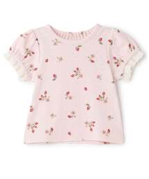 petit main(�v�e�B�}�C��)�́y�v�e�B�v��/�x�r�[�T�C�Y�z���t��������T�V���c(���̑��x�r�[�E�F�A)