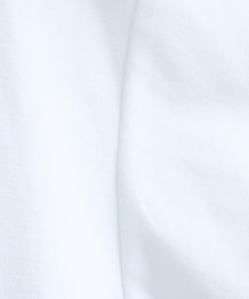 ABAHOUSE GRAY(アバハウスグレイ)の「【抗菌防臭/UVカット】シルキーポンチ 半袖ポロシャツ(ポロシャツ・メンズ・ホワイト/サックスブルー/チャコールグレー/ブラック/グレイッシュベージュ/モスグリーン・50/48/46/44)」の15枚目の写真