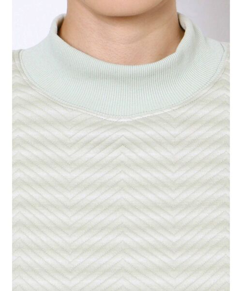 EMODA（エモダ）の「ウェーブタックショートプルオーバー（Tシャツ/カットソー・レディース・ホワイト/ブラック/その他・FREE）」の15枚目の写真