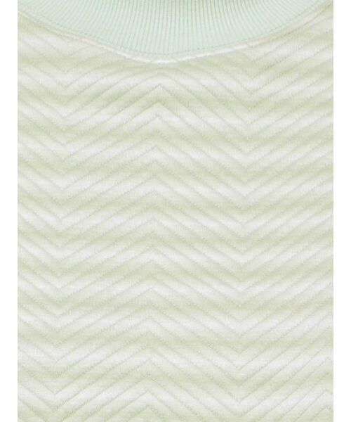 EMODA（エモダ）の「ウェーブタックショートプルオーバー（Tシャツ/カットソー・レディース・ホワイト/ブラック/その他・FREE）」の21枚目の写真