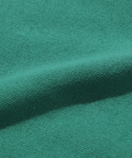 Champion(チャンピオン)の「Champion × BEAMS / 別注 Halfzip Sweat(スウェット・メンズ・グリーン系その他/ネイビー系・M/L/XL)」の22枚目の写真