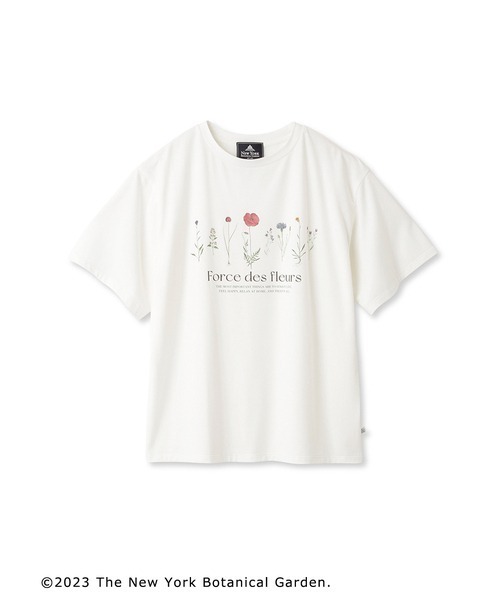 SNIDEL HOME（スナイデルホーム）の「【NEW YORK BOTANICAL