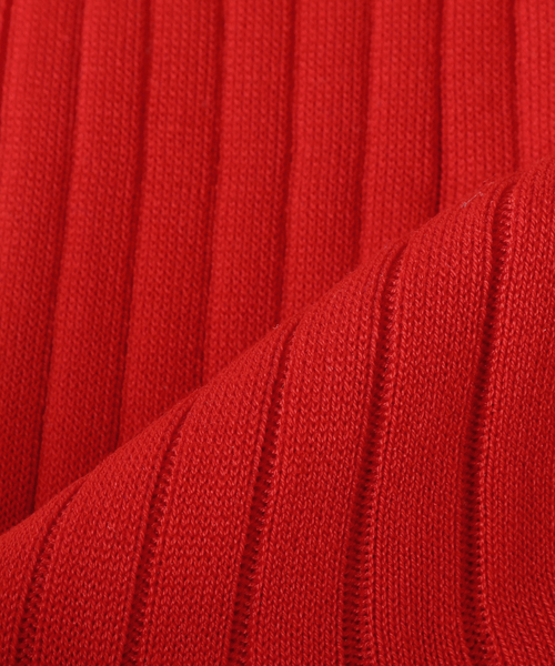 VERMEIL par iena（ヴェルメイユパーイエナ）の「【PANTHERELLA/パンセレラ 】8*2 リブソックス（ソックス/靴下・レディース・レッド/ブルー/チャコールグレー/バーガンディー/シルバー/ホワイト/グレー/グリーン・FREE）」の17枚目の写真