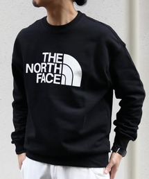 THE NORTH FACE | 日本未発売 THE NORTH FACE(ザ・ノースフェイス)/コットン ロゴ リラックス スウェットシャツ/COTTON LOGO RELAXED SWEAT SHIRTS(スウェット)