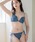 tu-hacci�i�c�[�n�b�`�j�́u�s�I�j�[���[�X�t�����g�z�b�N�u���W���[&�V���[�c�u�قǂ��Ȃ��j�R�p���i�u��&�V���[�c�j�v�b�_�[�N�u���[