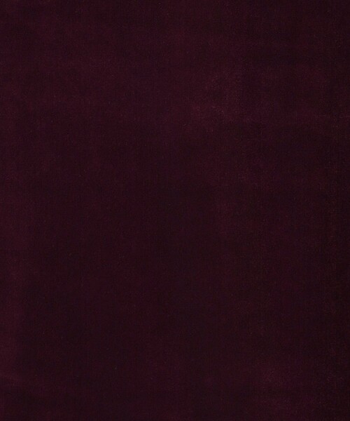 BEAUTY&YOUTH UNITED ARROWS(ビューティーアンドユースユナイテッドアローズ)の「ベロア タンクトップ(タンクトップ・レディース・パープル/ダークグレー/ブラック・FREE)」の21枚目の写真