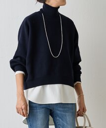 BEARDSLEY | ハイネックドルマンニット(ニット/セーター)