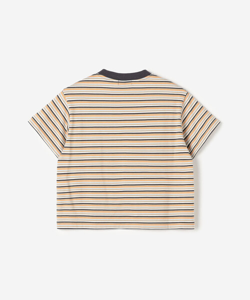 【2025年 S/S】レディース　Gymphlex　ジムフレックス　 マルチボーダー クルーネック半袖Tシャツ Tシャツ ボーダー GY-C0444MST Gymphlex | マルチボーダー クルーネック半袖Tシャツ WOMEN（T