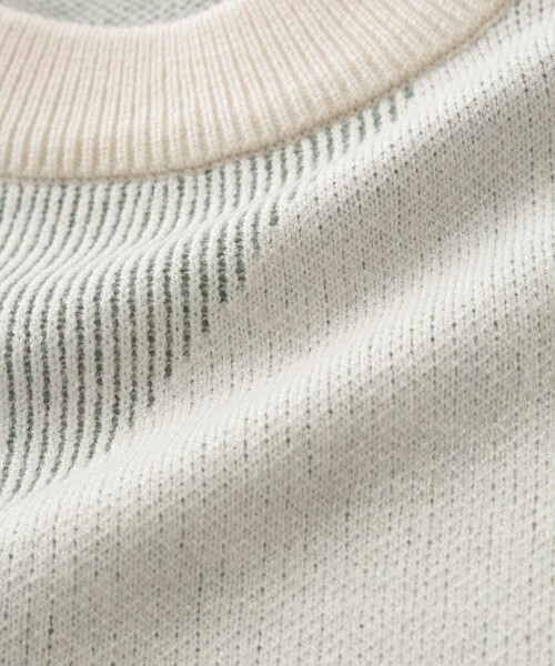 j.n.r.d(ジェー・エヌ・アール・ディー)の「RED EYE DUCK スウェットライクニット(ニット/セーター・メンズ・ブルー系その他4/ブラック/オフホワイト・M/LL/L)」の11枚目の写真