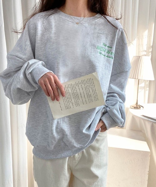 Dalfwin(ダールフィン)の「NEW Wave刺繍ロゴオーバーサイズスウェット(スウェット・レディース・グレー系その他/ネイビー/ブラック・FREE)」の16枚目の写真