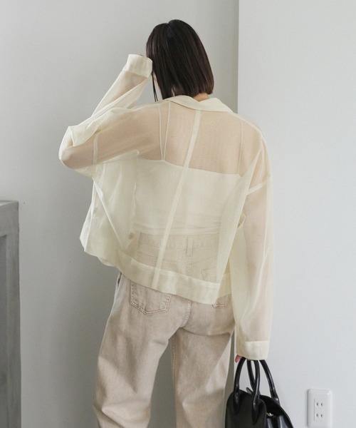 select MOCA(セレクトモカ)の「メッシュラメショートシャツ(シャツ/ブラウス・レディース・アイボリー/ネイビー/ライトグリーン・FREE)」の6枚目の写真