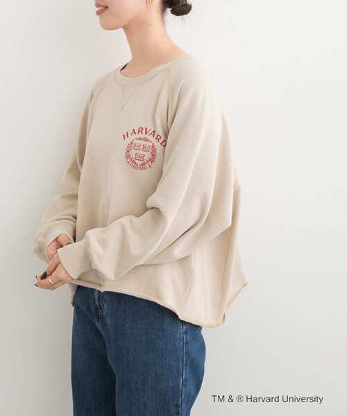 GOOD ROCK SPEED(グッドロックスピード)の「『一部別注カラー』GOOD ROCK SPEED HARVARD UNIVERSITY(Tシャツ/カットソー・レディース・ベージュ/ネイビー/ライトピンク・FREE)」の2枚目の写真