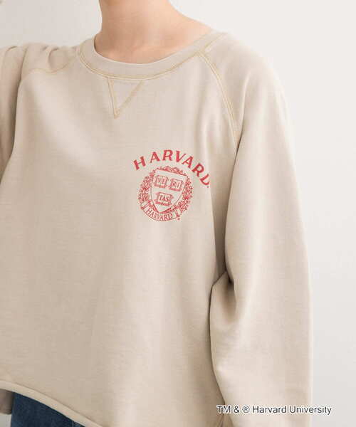 GOOD ROCK SPEED(グッドロックスピード)の「『一部別注カラー』GOOD ROCK SPEED HARVARD UNIVERSITY(Tシャツ/カットソー・レディース・ベージュ/ネイビー/ライトピンク・FREE)」の4枚目の写真