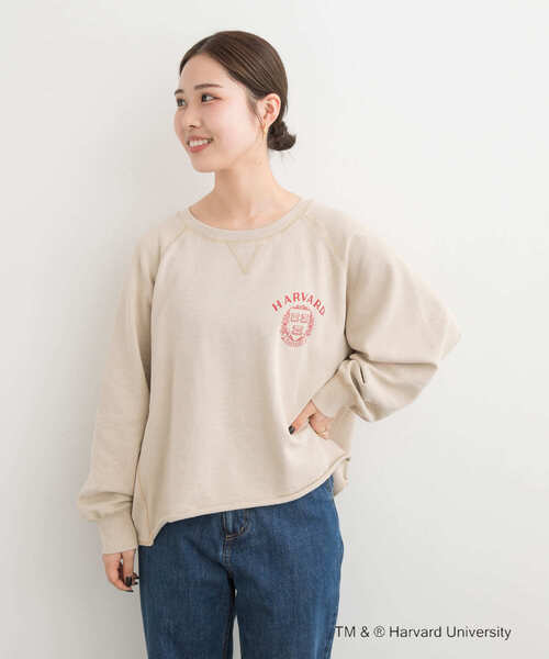 GOOD ROCK SPEED(グッドロックスピード)の「『一部別注カラー』GOOD ROCK SPEED HARVARD UNIVERSITY(Tシャツ/カットソー・レディース・ベージュ/ネイビー/ライトピンク・FREE)」の6枚目の写真