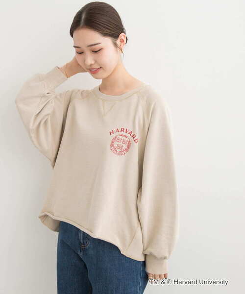 GOOD ROCK SPEED(グッドロックスピード)の「『一部別注カラー』GOOD ROCK SPEED HARVARD UNIVERSITY(Tシャツ/カットソー・レディース・ベージュ/ネイビー/ライトピンク・FREE)」の7枚目の写真