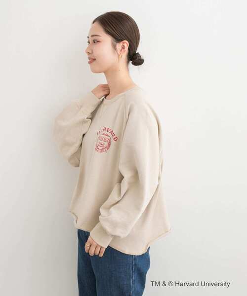 GOOD ROCK SPEED(グッドロックスピード)の「『一部別注カラー』GOOD ROCK SPEED HARVARD UNIVERSITY(Tシャツ/カットソー・レディース・ベージュ/ネイビー/ライトピンク・FREE)」の8枚目の写真