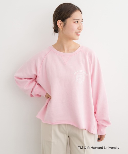 GOOD ROCK SPEED(グッドロックスピード)の「『一部別注カラー』GOOD ROCK SPEED HARVARD UNIVERSITY(Tシャツ/カットソー・レディース・ベージュ/ネイビー/ライトピンク・FREE)」の11枚目の写真