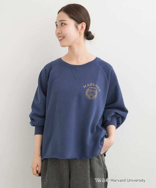 GOOD ROCK SPEED(グッドロックスピード)の「『一部別注カラー』GOOD ROCK SPEED HARVARD UNIVERSITY(Tシャツ/カットソー・レディース・ベージュ/ネイビー/ライトピンク・FREE)」の14枚目の写真