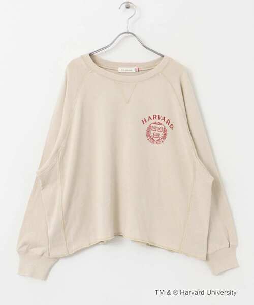 GOOD ROCK SPEED(グッドロックスピード)の「『一部別注カラー』GOOD ROCK SPEED HARVARD UNIVERSITY(Tシャツ/カットソー・レディース・ベージュ/ネイビー/ライトピンク・FREE)」の19枚目の写真