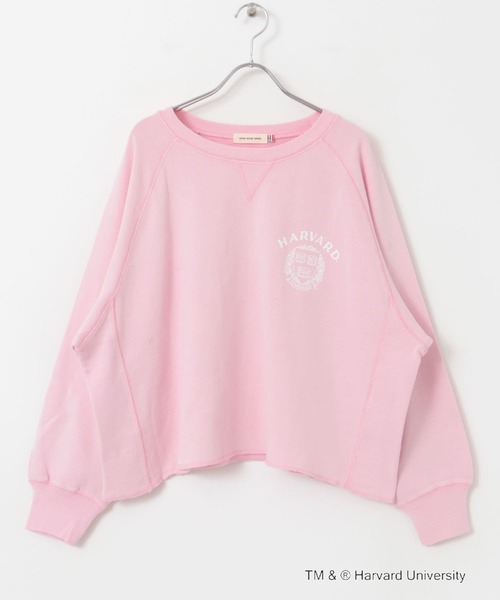 GOOD ROCK SPEED(グッドロックスピード)の「『一部別注カラー』GOOD ROCK SPEED HARVARD UNIVERSITY(Tシャツ/カットソー・レディース・ベージュ/ネイビー/ライトピンク・FREE)」の20枚目の写真