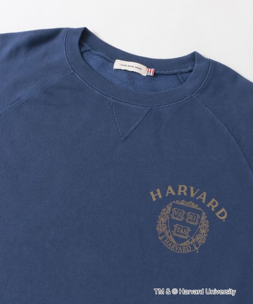 GOOD ROCK SPEED(グッドロックスピード)の「『一部別注カラー』GOOD ROCK SPEED HARVARD UNIVERSITY(Tシャツ/カットソー・レディース・ベージュ/ネイビー/ライトピンク・FREE)」の22枚目の写真