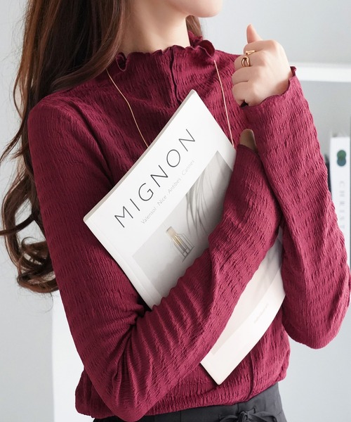alotta(アロッタ)の「カットジャガードプチハイネックプルオーバー(Tシャツ/カットソー・レディース・ワインレッド/グレイッシュベージュ/ブラウン/アイボリー・L/M/LL)」の4枚目の写真
