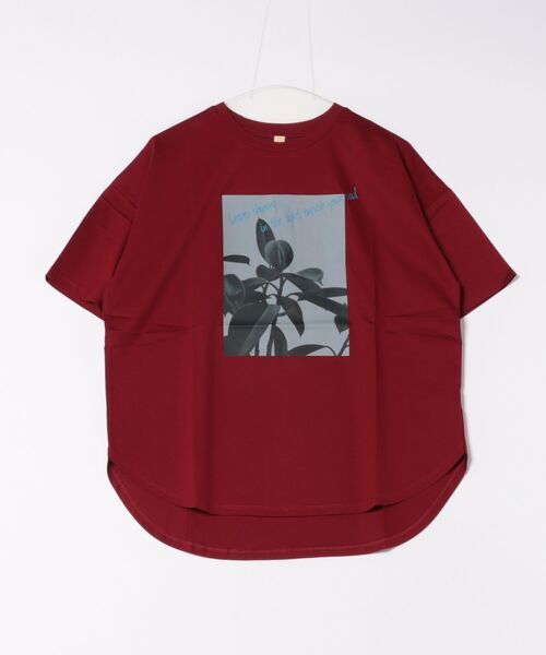 Q(キュー)の「ドライタッチプラントフォトT(Tシャツ/カットソー・レディース・ホワイト/バーガンディー・MEDIUM)」の1枚目の写真