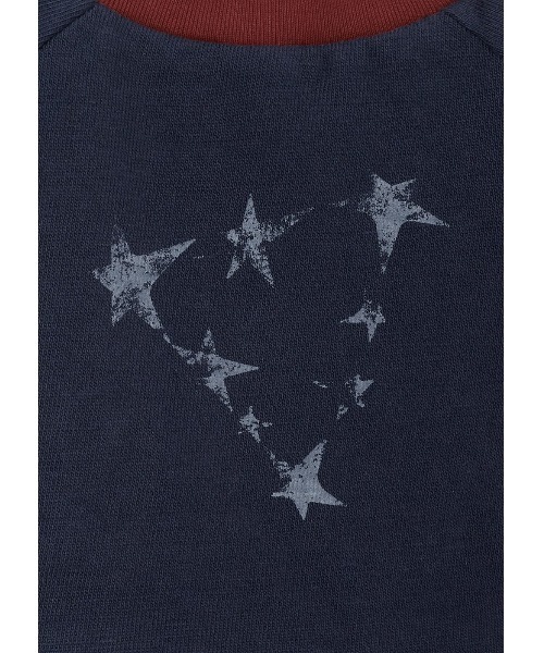 DOG STAR TRIANGLE TEE SHIRT | GUESS(ゲス) JAPAN 公式オンライン