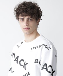 ブラックレーベルクレストブリッジ　ロゴスウェット裏起毛　※写真5枚目要確認！！ BLACK LABEL CRESTBRIDGE（ブラックレーベル・クレストブリッジ