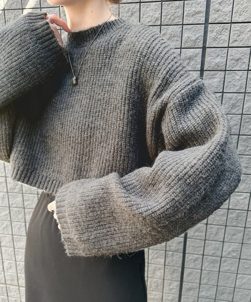 select MOCA(セレクトモカ)の「ウールライクショートニット(ニット/セーター・レディース・ベージュ/グレー/チャコールグレー・FREE)」の2枚目の写真
