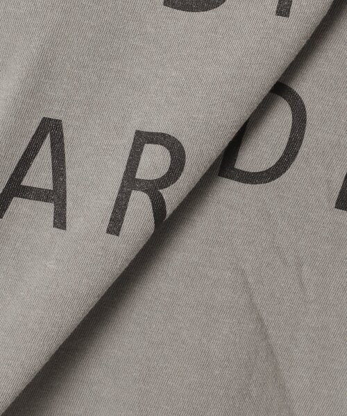 THE DAY ON THE BEACH（ザデイオンザビーチ）の「《追加4》【THE DAY ON THE BEACH】CUT OFF T-SH TEE：Tシャツ（Tシャツ/カットソー・レディース・ホワイト×ホワイト/ブルー/グレー/ホワイト/ブラック系その他・FREE）」の16枚目の写真