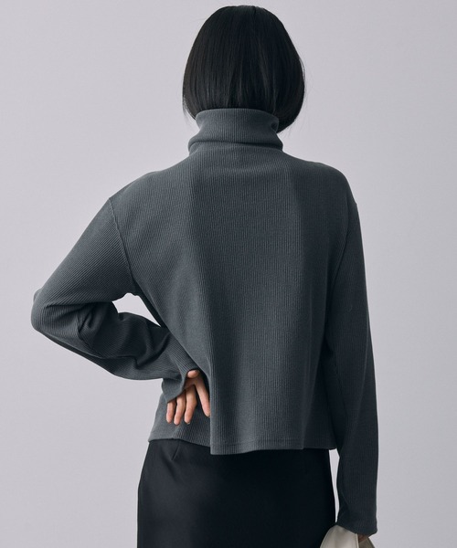 BABYLONE（バビロン）の「BIGカラーZIPブルゾン（Tシャツ/カットソー・レディース・ベージュ/チャコール・フリー）」の21枚目の写真