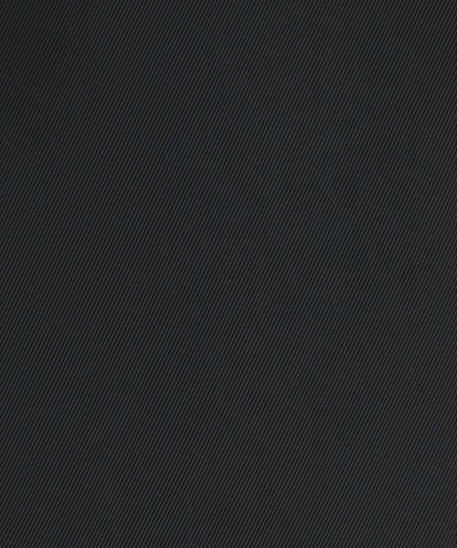 green label relaxing（グリーンレーベルリラクシング）の「サラフール テーラード ジャケット -マシンウォッシャブル・ストレッチ・UVカット-（テーラードジャケット・レディース・ネイビー/ベージュ/ブラック・34/36/42/38/40/46/44）」の22枚目の写真