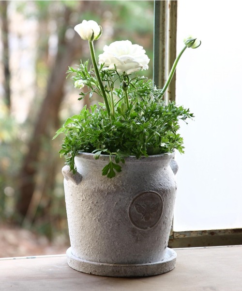 Honeybee ミルクポットプランター Sサイズ フラワーベース Spice Of Life スパイス オブ ライフ のファッション通販 Zozotown