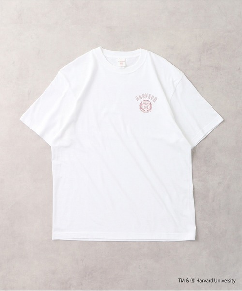 HARVARD(ハーバード)の「HARVARD DOUBLE PRINTED T-SHIRT(Tシャツ/カットソー・メンズ・ホワイト・M/L/XL)」の16枚目の写真