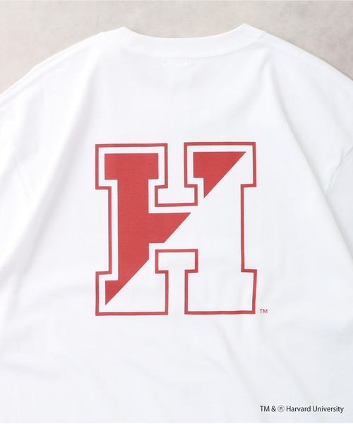 HARVARD(ハーバード)の「HARVARD DOUBLE PRINTED T-SHIRT(Tシャツ/カットソー・メンズ・ホワイト・M/L/XL)」の19枚目の写真