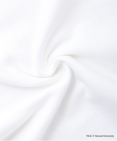 HARVARD(ハーバード)の「HARVARD DOUBLE PRINTED T-SHIRT(Tシャツ/カットソー・メンズ・ホワイト・M/L/XL)」の15枚目の写真