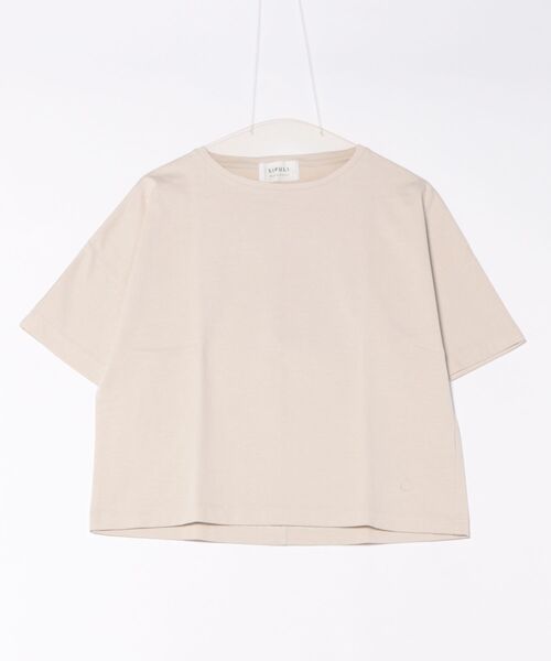 tシャツ 「ALBINI」Parallel Jersey 肩釦プルオーバー レディース ALBINI］Parallel Jersey 肩釦プルオーバー（Tシャツ/カットソー