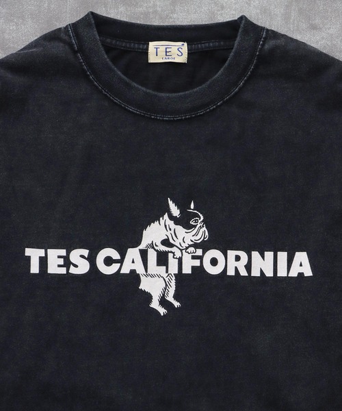 TES CALIFORNIA LOGO PIGMENT LONG SLEEVE BIG T-SHIRT / ロンT（T