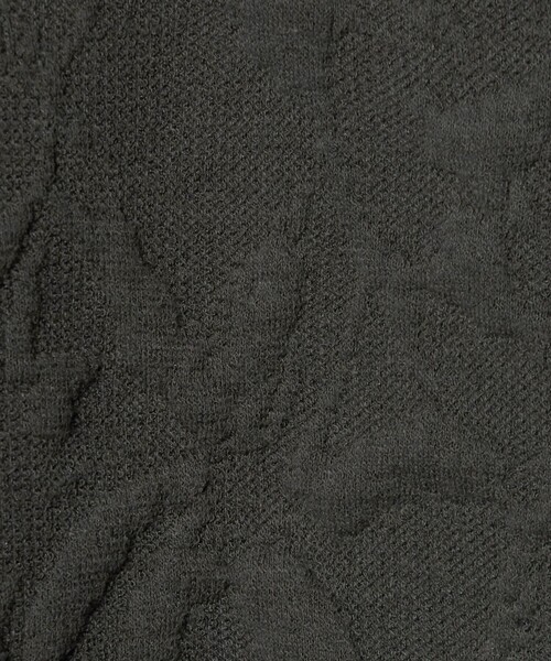 BEAUTY&YOUTH UNITED ARROWS（ビューティーアンドユースユナイテッドアローズ）の「ボタニカルジャガード プルオーバー（Tシャツ/カットソー・レディース・ブラック/ダークグレー/オフホワイト/ライム・FREE）」の9枚目の写真