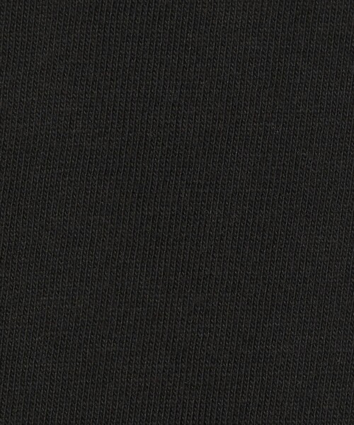 HANES(ヘインズ)の「【別注】<Hanes×CITEN>2パックロゴT(Tシャツ/カットソー・メンズ・ホワイト/ブラック/その他1・M/S/L)」の13枚目の写真
