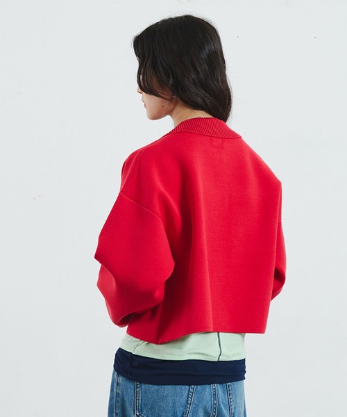 ROSE BUD（ローズバッド）の「COLLARED ZIP CARDIGAN（カーディガン/ボレロ・レディース・ブラウン/レッド/ライトイエロー・ONE SIZE）」の22枚目の写真