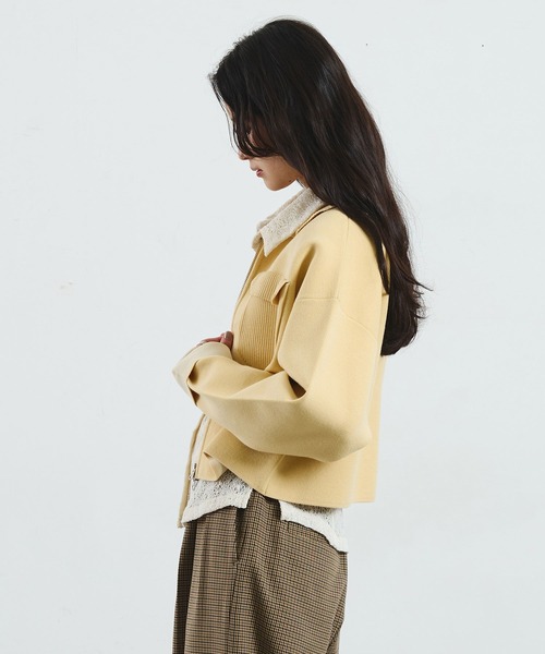 ROSE BUD（ローズバッド）の「COLLARED ZIP CARDIGAN（カーディガン/ボレロ・レディース・ブラウン/レッド/ライトイエロー・ONE SIZE）」の11枚目の写真