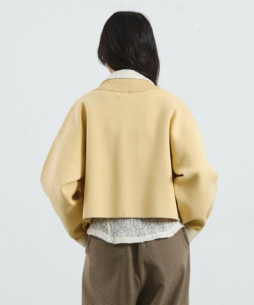 ROSE BUD（ローズバッド）の「COLLARED ZIP CARDIGAN（カーディガン/ボレロ・レディース・ブラウン/レッド/ライトイエロー・ONE SIZE）」の12枚目の写真