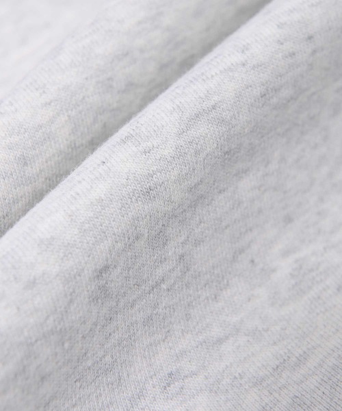 Carhartt WIP(カーハートダブリューアイピー)の「Carhartt WIP(カーハート ワークインプログレス) スクリプトロゴ プルパーカー(パーカー・メンズ・グレー系その他/ブラウン/ブラック×ホワイト・S/M/L)」の12枚目の写真