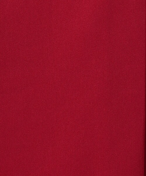 dahl'ia（ダリア）の「＜dahl’ia＞ベルト プリーツスカート（スカート・レディース・レッド/ブラック・M/S）」の17枚目の写真