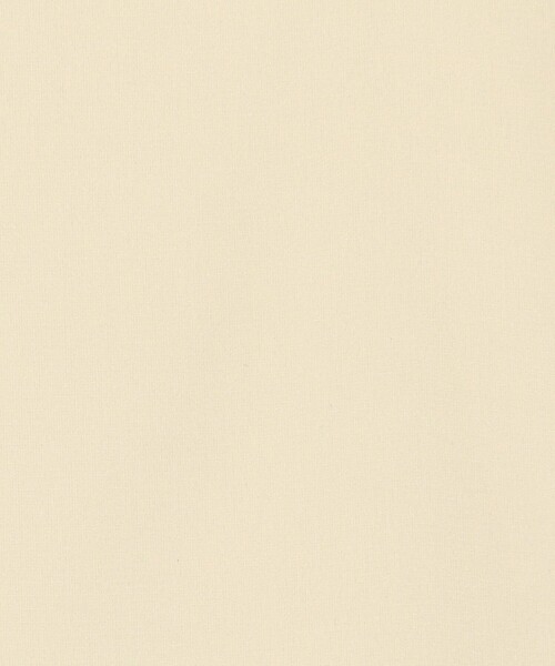 MICO COULIER(ミコクリエ)の「スクエアネックサテンドッキングタンクトップ(Tシャツ/カットソー・レディース・キナリ/ブラック/オフホワイト/チャコールグレー・38)」の21枚目の写真